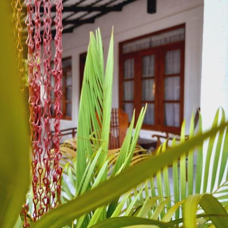 The Cozy Cottage Habarana Εξωτερικό φωτογραφία