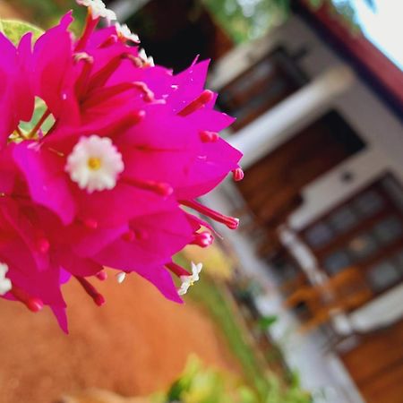 The Cozy Cottage Habarana Εξωτερικό φωτογραφία