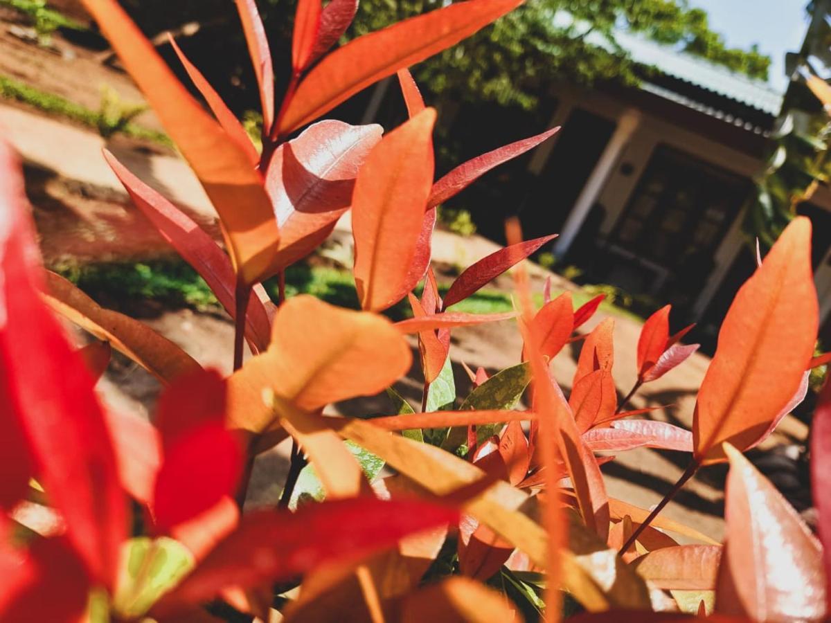 The Cozy Cottage Habarana Εξωτερικό φωτογραφία