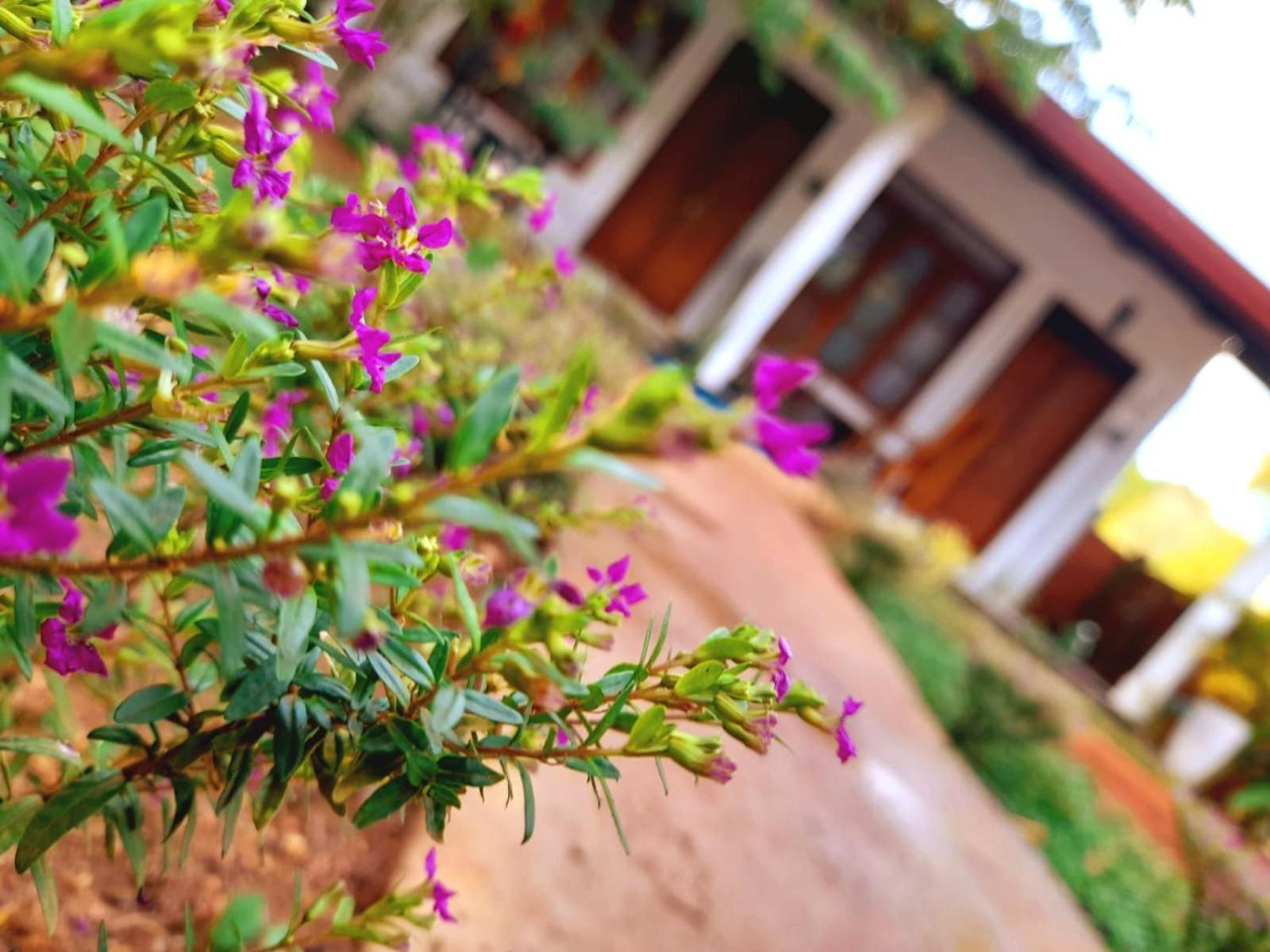The Cozy Cottage Habarana Εξωτερικό φωτογραφία